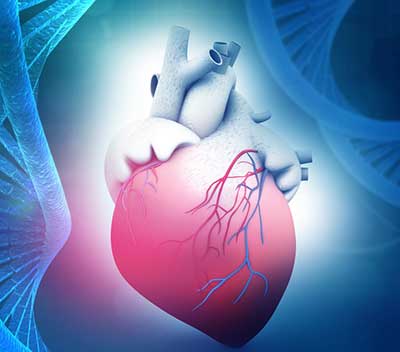 L’importanza dei polygenic risk scores cardiovascolari